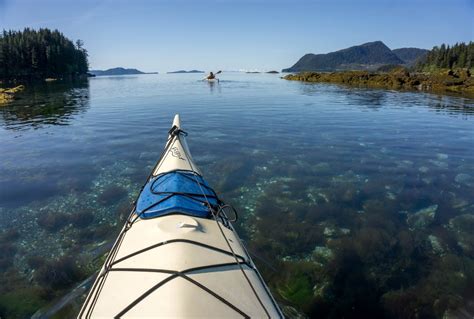 Top Airlines for Hassle-Free Kayak Travel: Best Deals and Tips